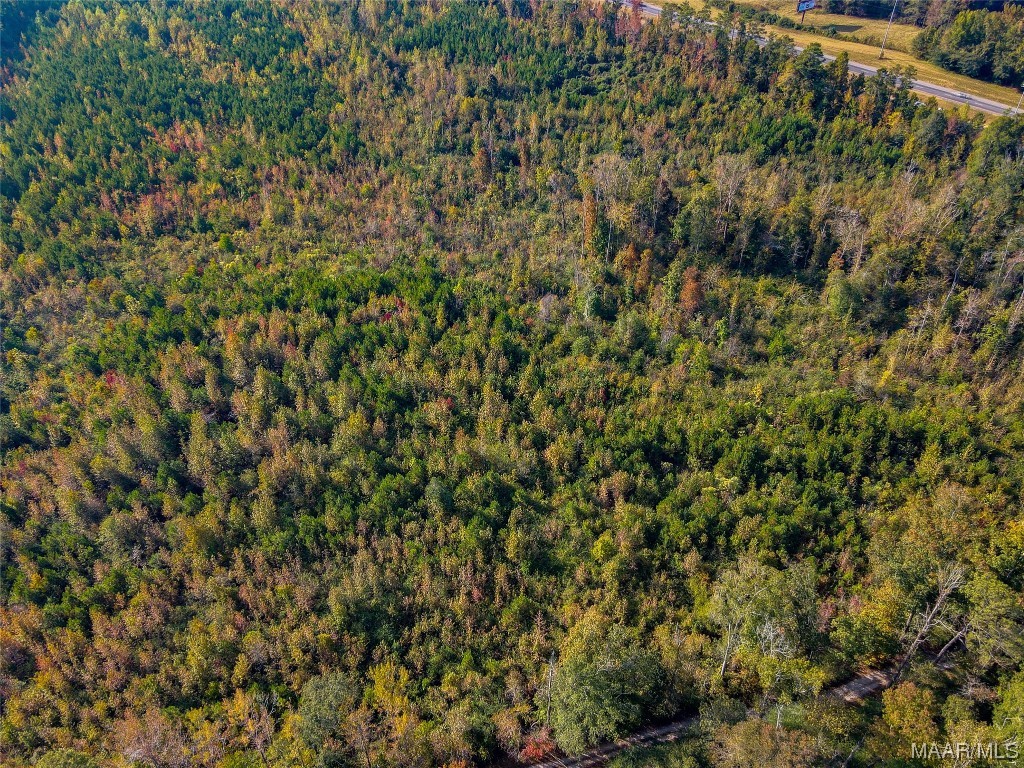 01 Highway 145 Highway