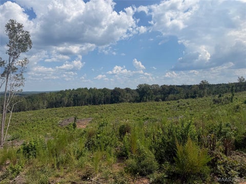 Photo of 1 County Road 7, Plantersville, AL 36785 (MLS # 590212)