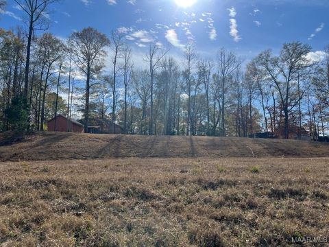 Photo of 0 Springwood Drive, Greenville, AL 36037 (MLS # 582340)