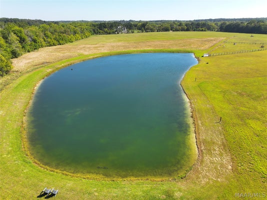 00 MARLER ROAD, PIKE ROAD, AL 36064 - Image f736fbb2b233dbb93e37fa88fc82e31b/306487626