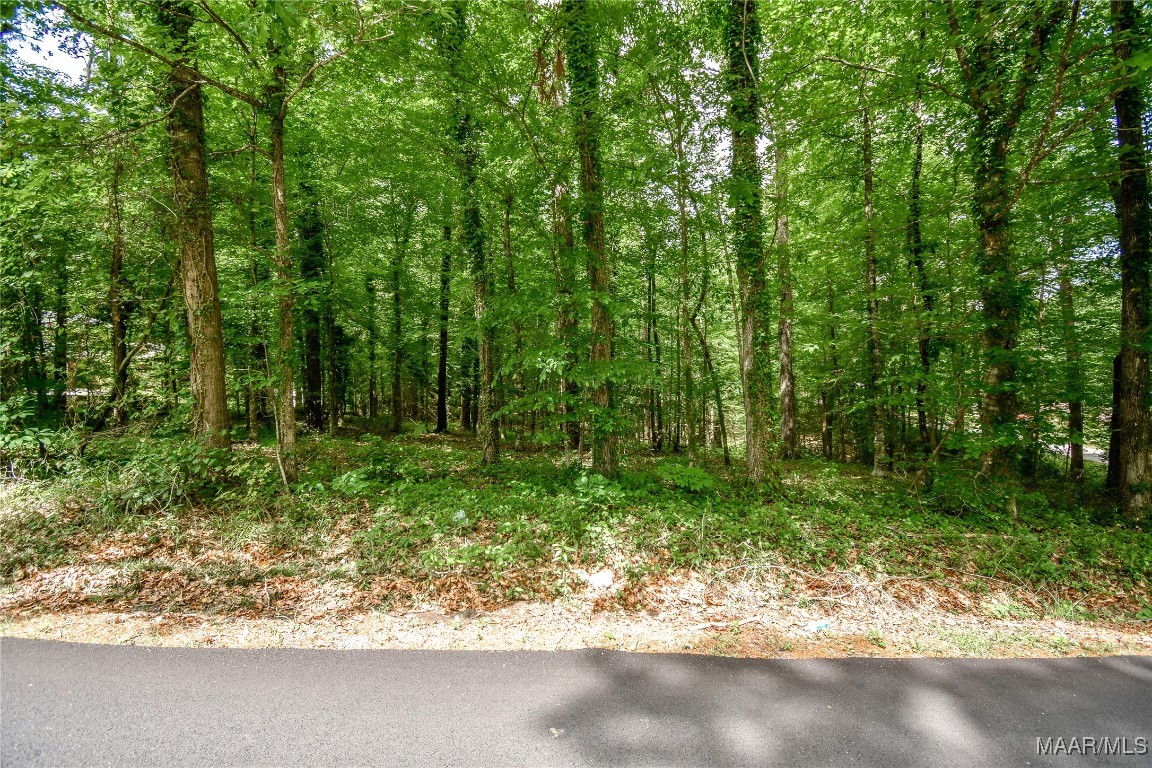 Photo 1 of 8 — 0 NOBLE Road, Tallassee, AL 36078