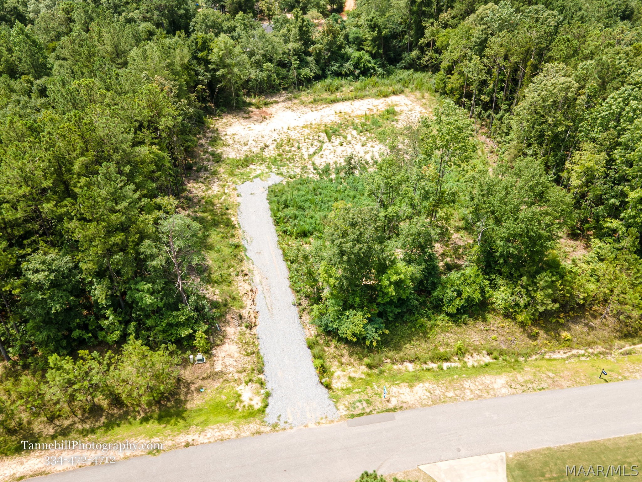 230 Merrill - Photo 2