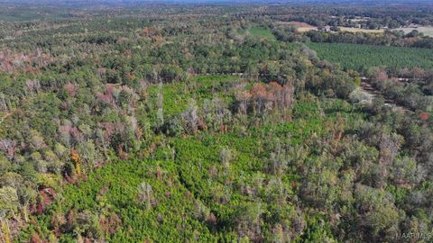 Photo of 465 N Ann Street, Eclectic, AL 36024 (MLS # 581354)