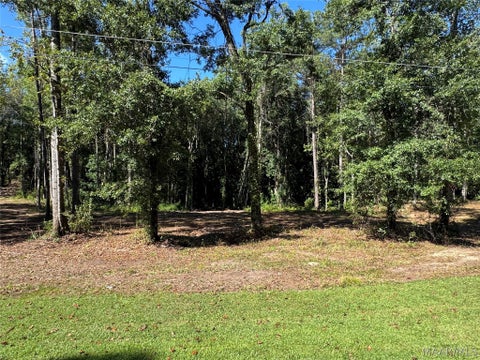 Photo of 29 Brookley Drive, Eclectic, AL 36024 (MLS # 590096)