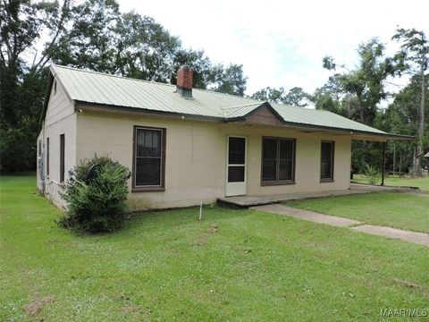 Photo of 125 Miranda Avenue, Georgiana, AL 36033 (MLS # 577828)