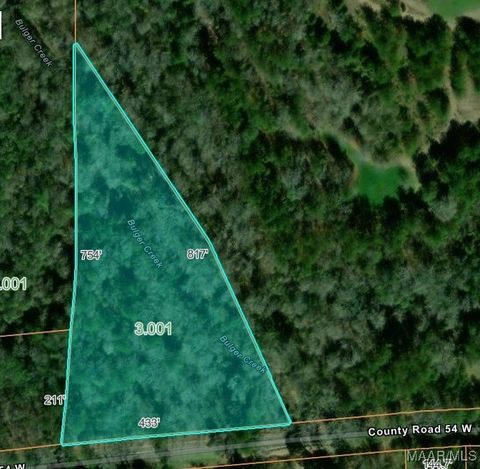 Photo of 0 County Road 54 Road, Notasulga, AL 36866 (MLS # 579777)