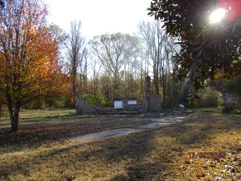 Photo of 1366 COUNTY ROAD 47 Road, Tuskegee, AL 36083 (MLS # 582029)