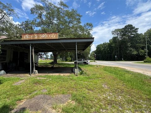 Photo of 87241 Tallassee Highway, Tallassee, AL 36078 (MLS # 578814)