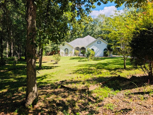 127 FORESTBROOK DR, DEATSVILLE, AL 36022 - Image ffd8b48d8bb0d9aa4548b83a1eab03a6/2593749882