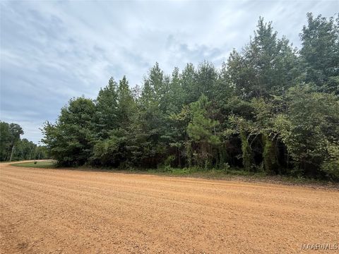 Photo of 0 Twin Rivers Drive, Orrville, AL 36767 (MLS # 579474)