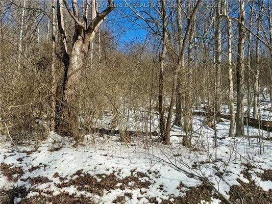 NEWARK RD, ELIZABETH, WV 26143 - Image 0529c6512835fb03096159fffc166e21/526830309