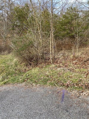 KENSINGTON LN, CHARLESTON, WV 25313 - Image 17c2d104994e7f0c2f2f4fbd5cb99ceb/1810398414