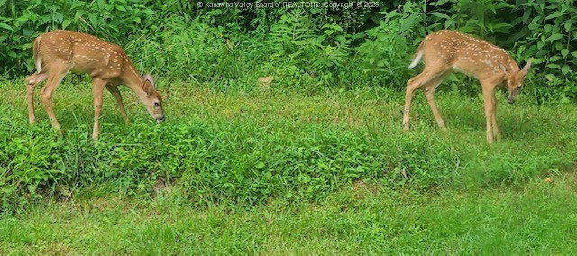 Charleston, West Virginia 25312, United States, 2 Bedrooms Bedrooms, ,2 BathroomsBathrooms,Residential,Active,232557