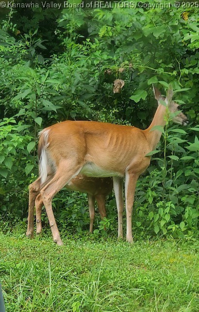 Charleston, West Virginia 25312, United States, 2 Bedrooms Bedrooms, ,2 BathroomsBathrooms,Residential,Active,232557