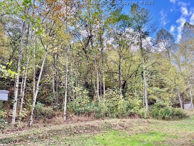 Charleston, West Virginia 25312, United States, 2 Bedrooms Bedrooms, ,2 BathroomsBathrooms,Residential,Active,232557