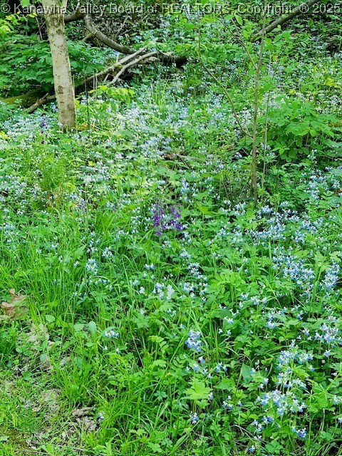 Charleston, West Virginia 25312, United States, ,Land,Active,223114