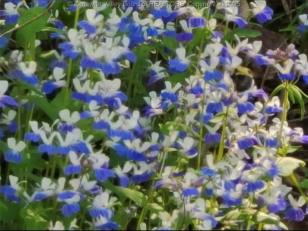 Charleston, West Virginia 25312, United States, ,Land,Active,223114