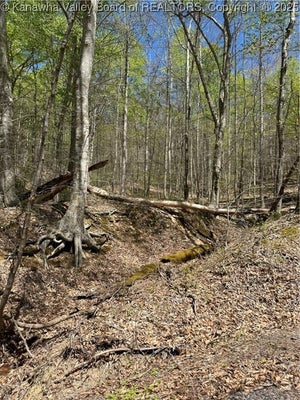 LOT #1 SUGARTREE ROAD, ALKOL, WV 25501 - Image 45dc5e911c8dba8875c5b0c0f7bfebd0/28712859