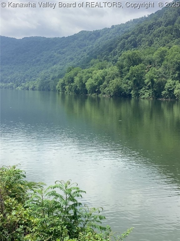 Smithers, West Virginia 25186, United States, 2 Bedrooms Bedrooms, ,1 BathroomBathrooms,Residential,Active,141190