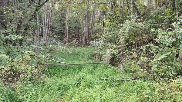 BIG SANDY RD, LEFT HAND, WV 25251 - Image 677823de0cfd285fa8feb74d6dea20aa/37690975