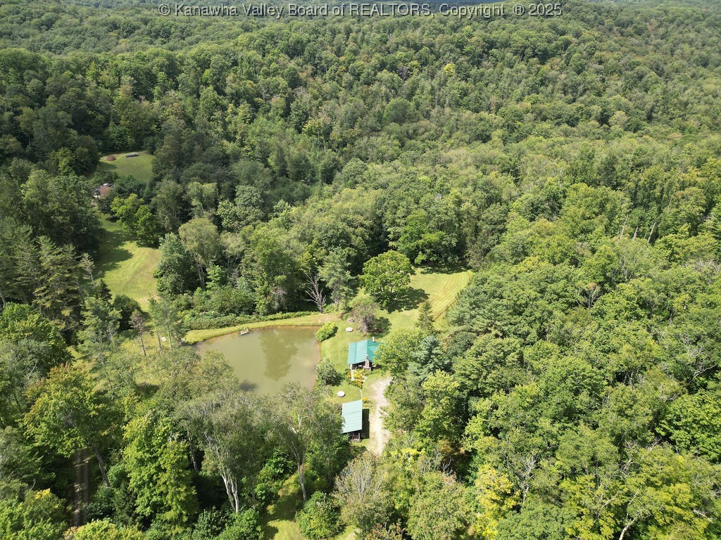 Webster, West Virginia 26288, United States, ,Land,Active,197799