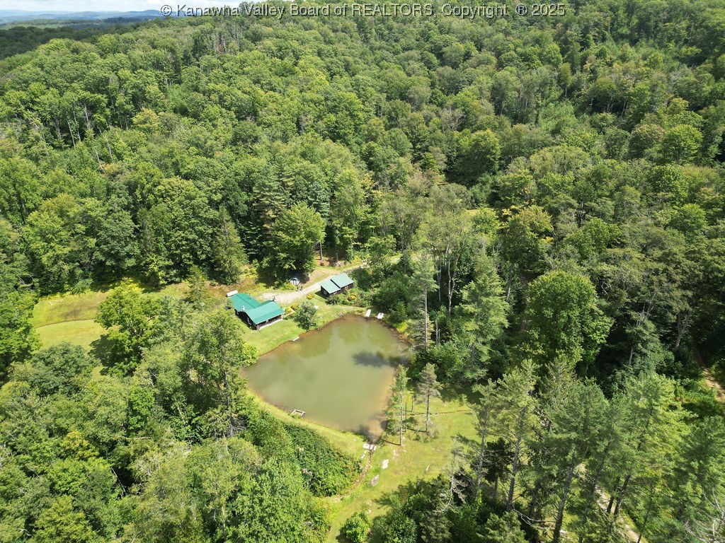 Webster, West Virginia 26288, United States, ,Land,Active,197799