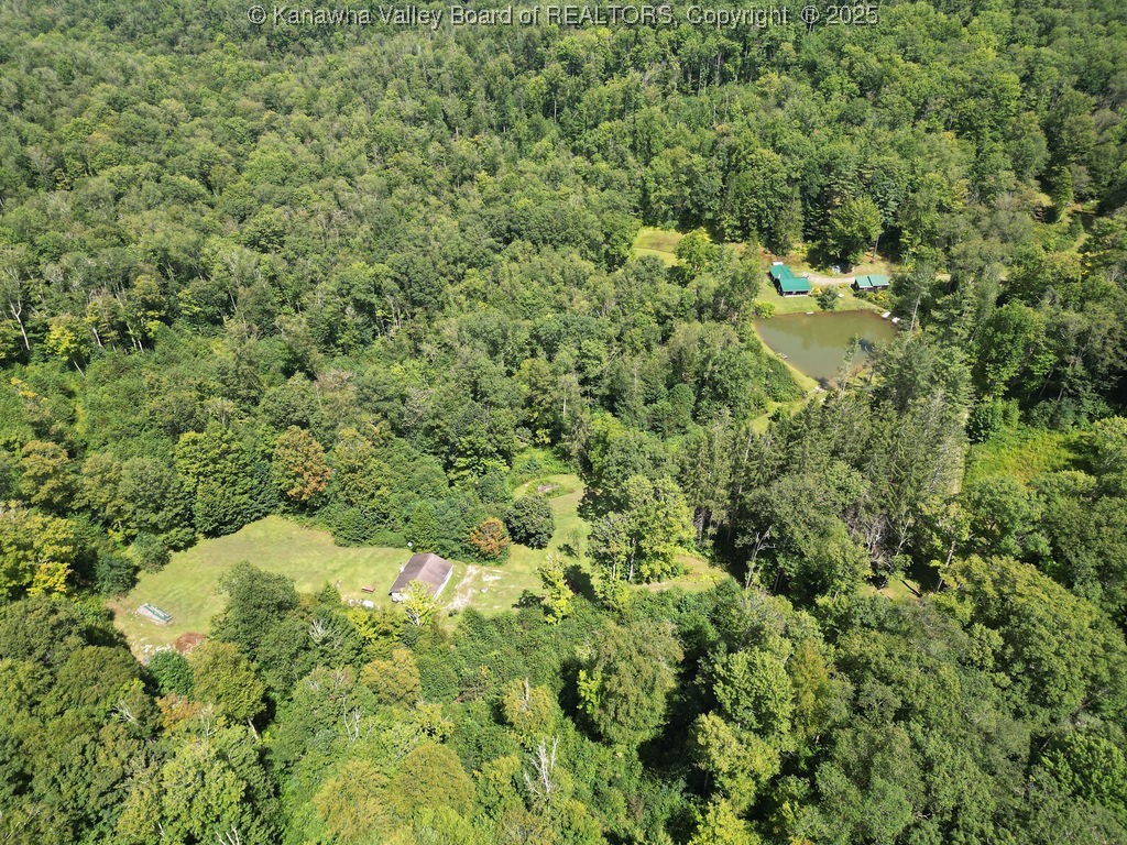 Webster, West Virginia 26288, United States, ,Land,Active,197799