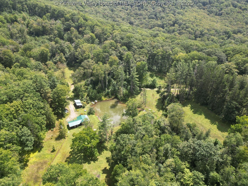 Webster, West Virginia 26288, United States, ,Land,Active,197799