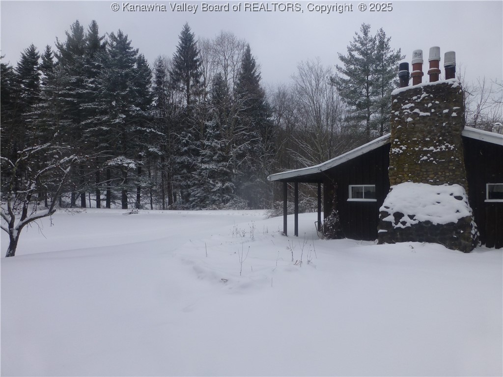 Webster, West Virginia 26288, United States, ,Land,Active,197799