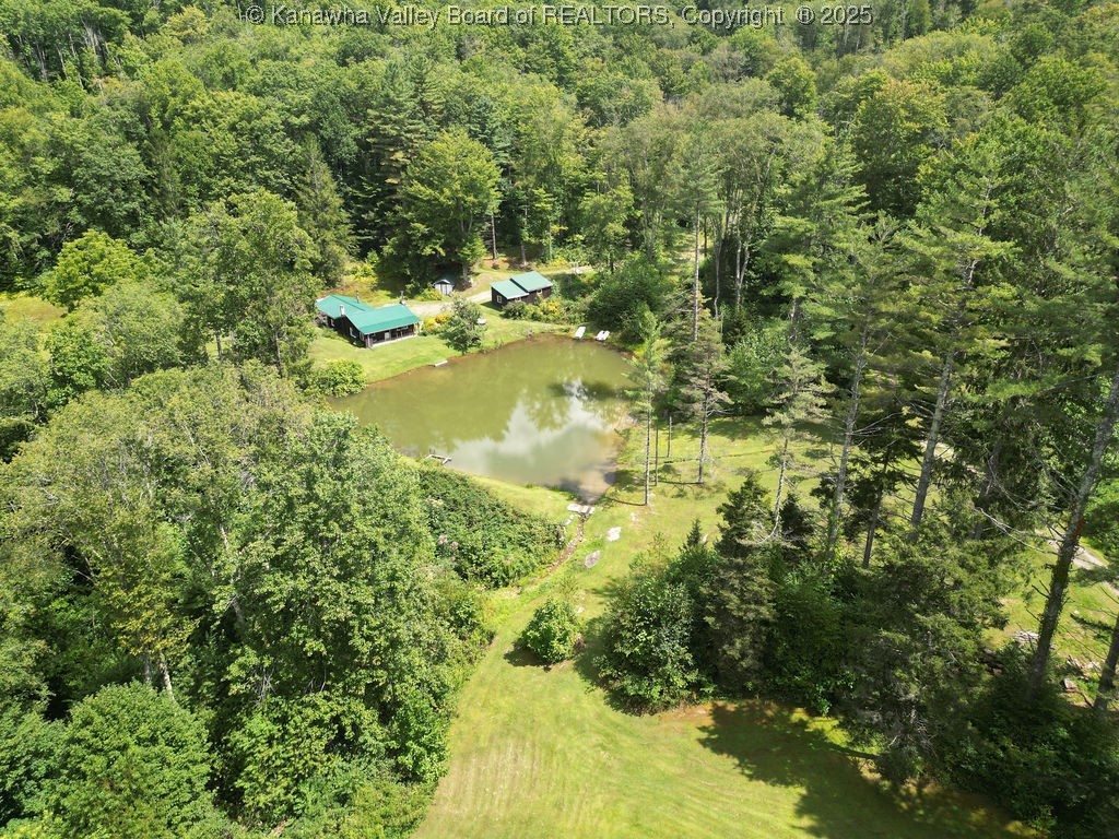 Webster, West Virginia 26288, United States, ,Land,Active,197799