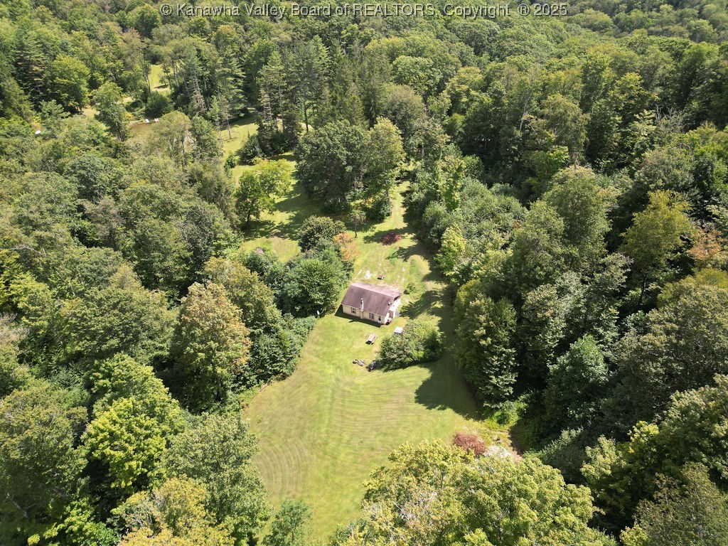 Webster, West Virginia 26288, United States, ,Land,Active,197799