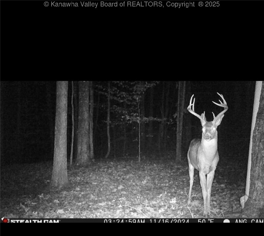 Bomont, West Virginia 25030, United States, 3 Bedrooms Bedrooms, ,2 BathroomsBathrooms,Residential,Active,149660