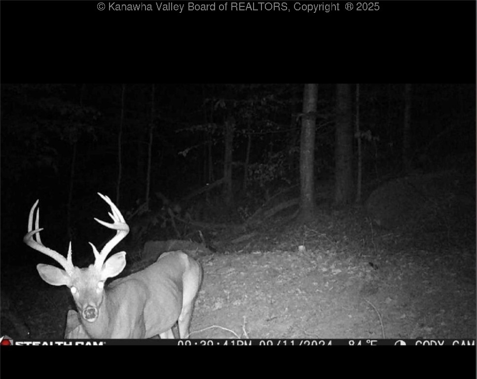 Bomont, West Virginia 25030, United States, 3 Bedrooms Bedrooms, ,2 BathroomsBathrooms,Residential,Active,149660