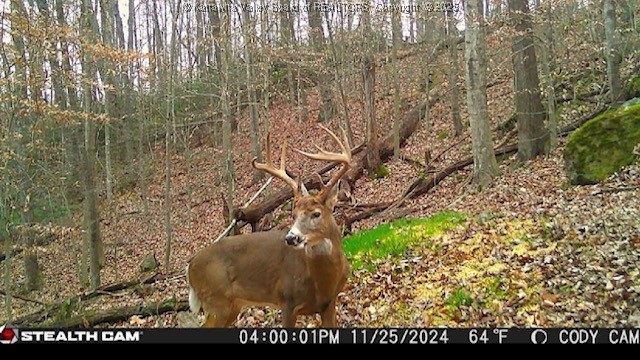 Bomont, West Virginia 25030, United States, 3 Bedrooms Bedrooms, ,2 BathroomsBathrooms,Residential,Active,149660