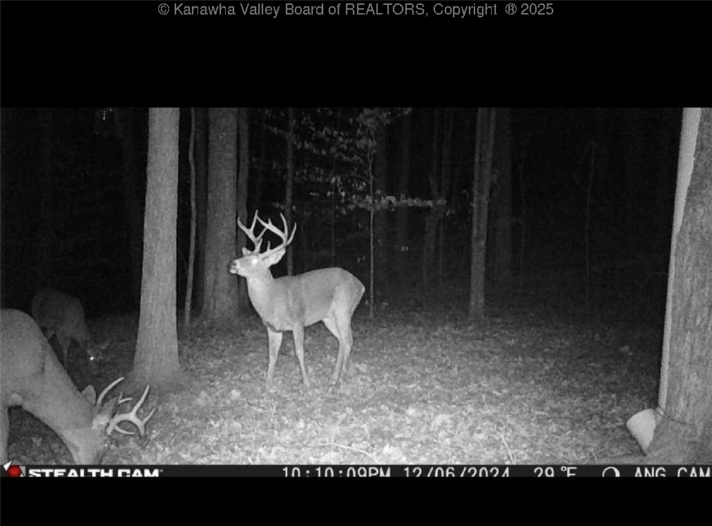 Bomont, West Virginia 25030, United States, 3 Bedrooms Bedrooms, ,2 BathroomsBathrooms,Residential,Active,149660