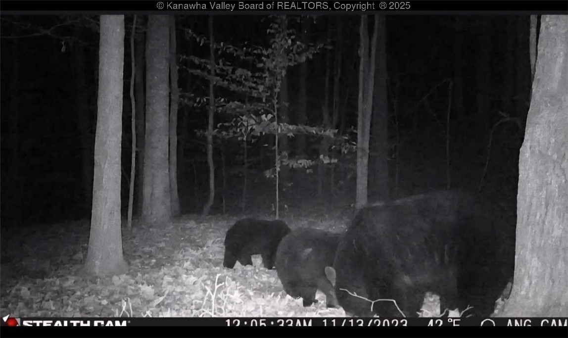 Bomont, West Virginia 25030, United States, 3 Bedrooms Bedrooms, ,2 BathroomsBathrooms,Residential,Active,149660