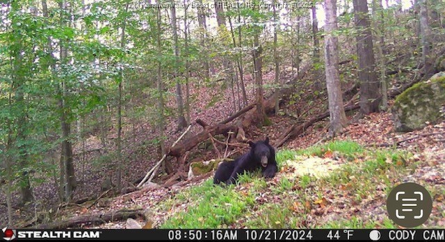 Bomont, West Virginia 25030, United States, 3 Bedrooms Bedrooms, ,2 BathroomsBathrooms,Residential,Active,149660