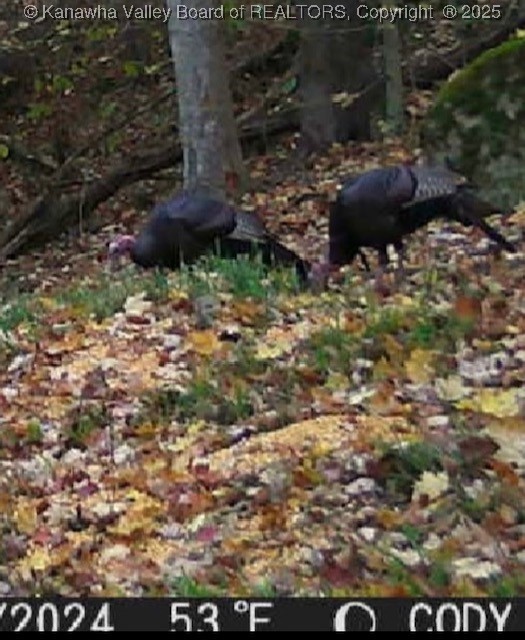 Bomont, West Virginia 25030, United States, 3 Bedrooms Bedrooms, ,2 BathroomsBathrooms,Residential,Active,149660