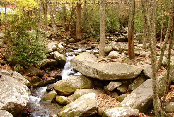 DRY BRANCH DR, CHARLESTON, WV 25306 - Image a3bb236eebcaa452eea6389baa0c10b3/2557889502