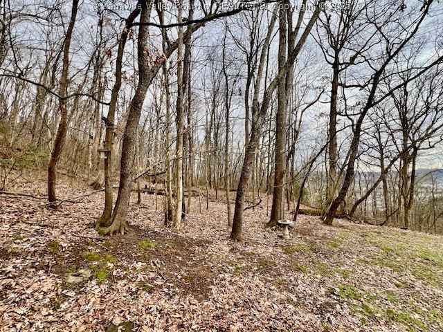 Charleston, West Virginia 25387, United States, 2 Bedrooms Bedrooms, ,2 BathroomsBathrooms,Residential,Pending,10336