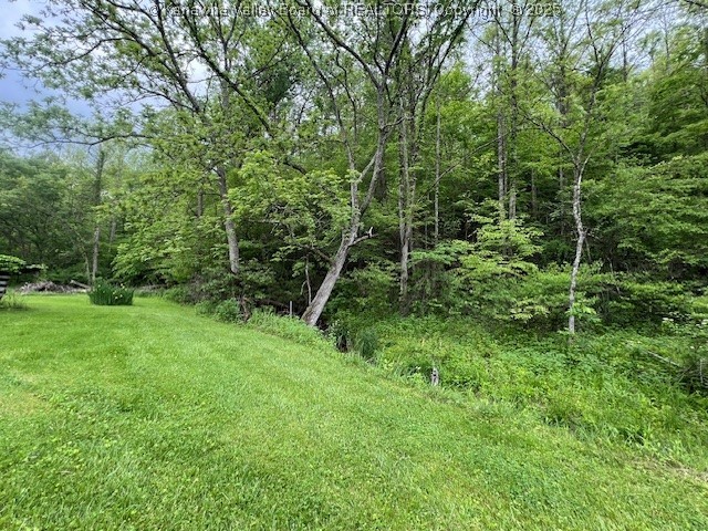 Hurricane, West Virginia 25526, United States, ,Land,Active,131915