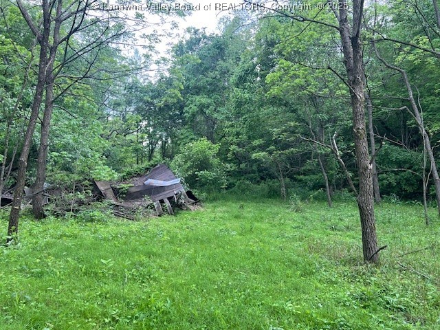 Hurricane, West Virginia 25526, United States, ,Land,Active,131915