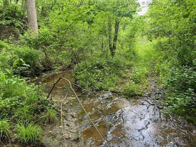 Hurricane, West Virginia 25526, United States, ,Land,Active,131915