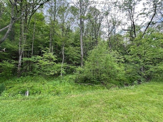 Hurricane, West Virginia 25526, United States, ,Land,Active,131915