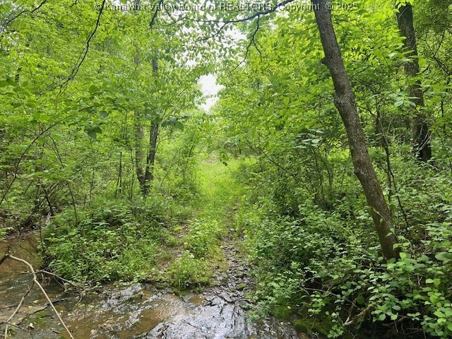Hurricane, West Virginia 25526, United States, ,Land,Active,131915