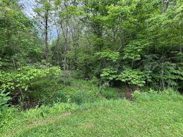 Hurricane, West Virginia 25526, United States, ,Land,Active,131915