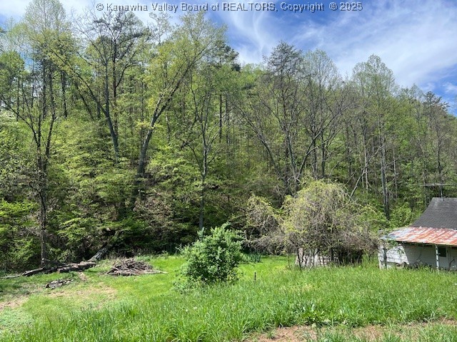 Hurricane, West Virginia 25526, United States, ,Land,Active,131915