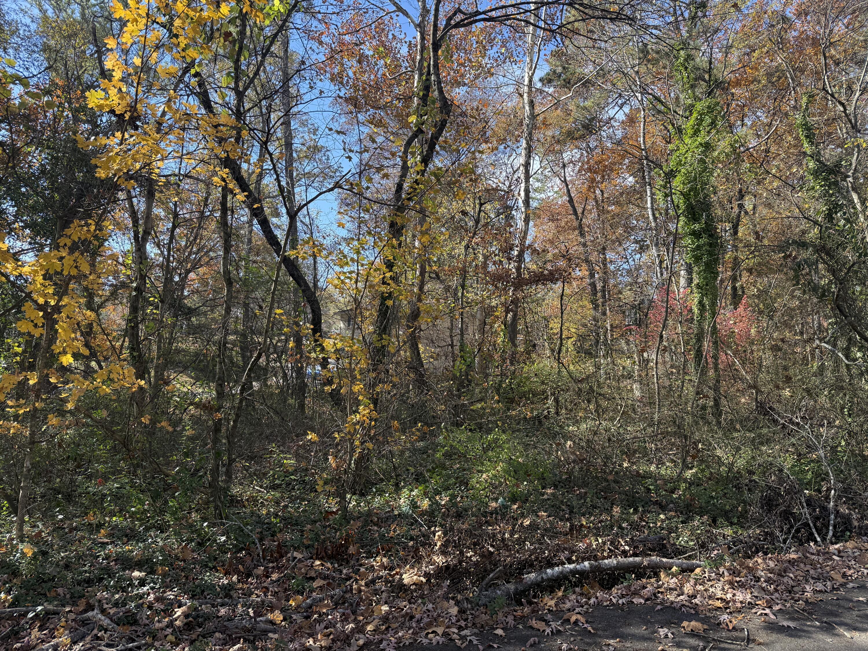 Lot 5