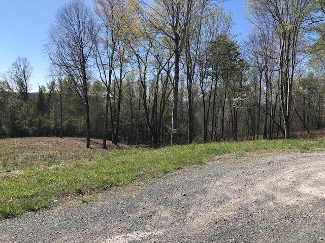 Photo 1 of 4 — 9 Piney View Drive, Spring City, TN 37381