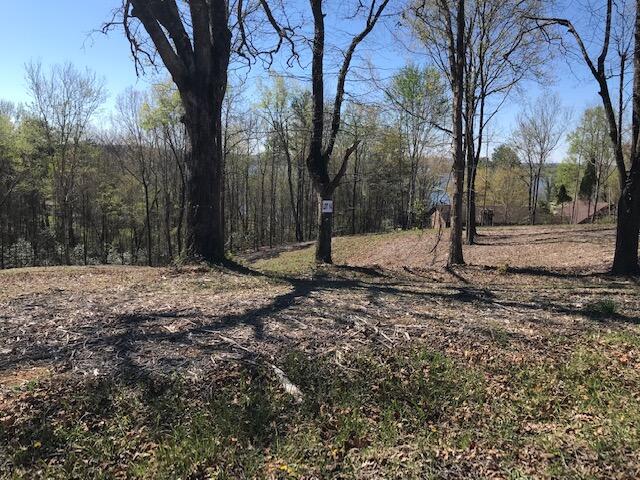 Photo 1 of 2 — 14 Piney View Drive, Spring City, TN 37381